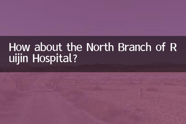 瑞金医院北院怎么样