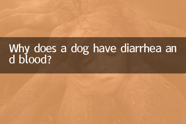 لماذا يعاني الكلب من الإسهال والدم؟