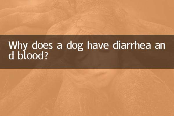 لماذا يعاني الكلب من الإسهال والدم؟