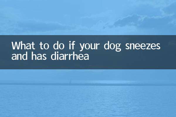 Cosa fare se il tuo cane starnutisce e ha la diarrea