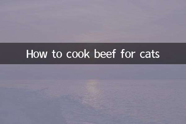 طرز تهیه گوشت گاو برای گربه