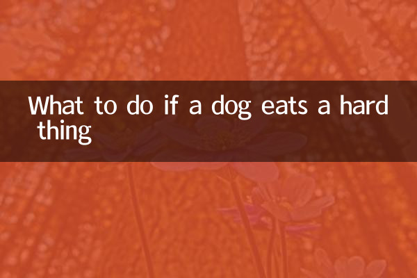 Que faire si un chien mange une chose difficile