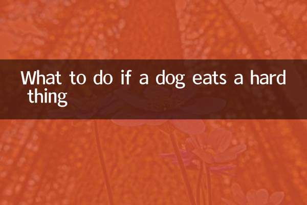 O que fazer se um cachorro come uma coisa difícil