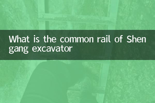 What is the common rail of Shengang excavator