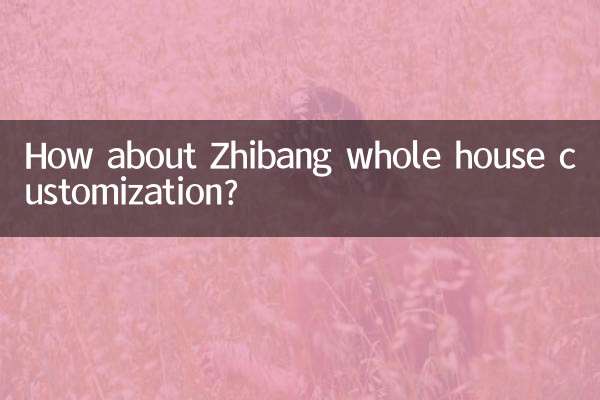 Zhibang 집 전체 맞춤화는 어떻습니까?