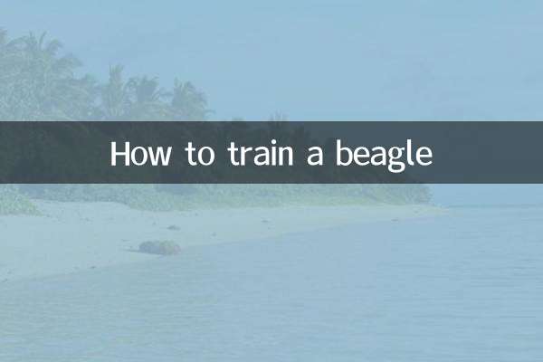 Come addestrare un beagle