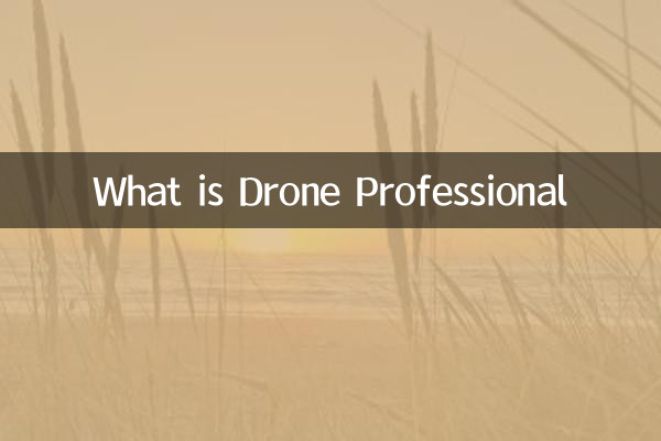 ¿Qué es Drone Profesional?