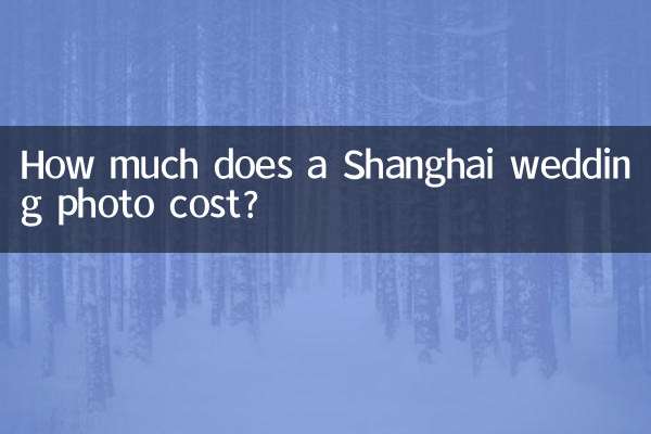 Wie viel kostet ein Hochzeitsfoto in Shanghai?