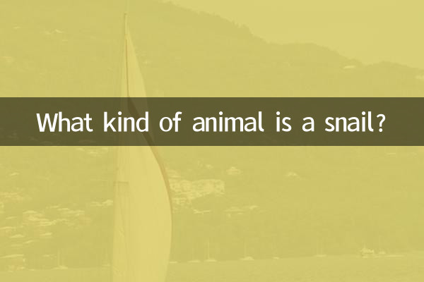カタツムリってどんな動物？
