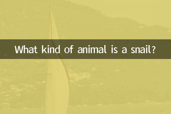 달팽이는 어떤 동물인가요?