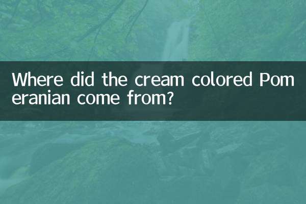 クリーム色のポメラニアンはどこから来たのですか？
