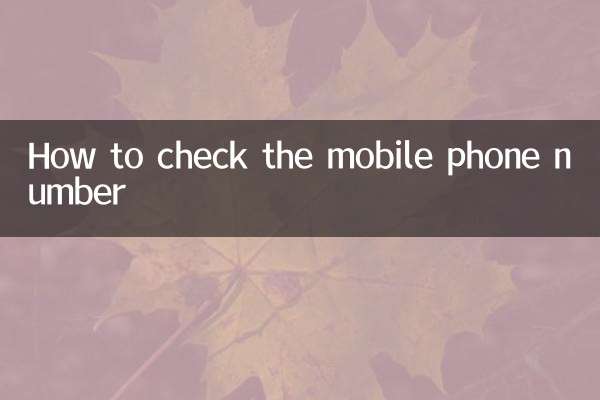 휴대폰번호 확인방법