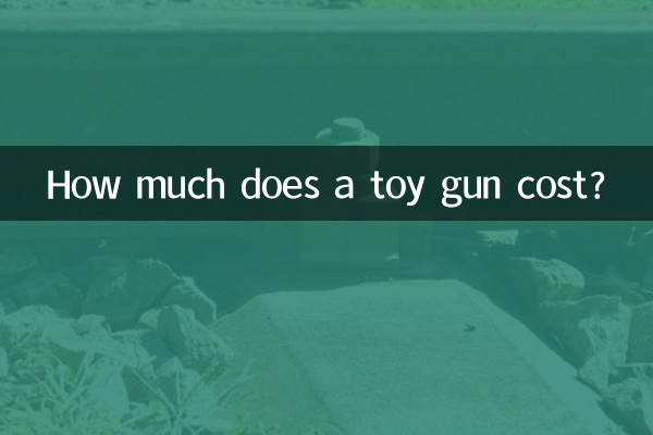 장난감 총 가격은 얼마입니까?