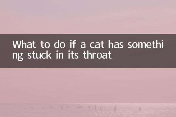 고양이 목에 뭔가 걸렸을 때 대처법