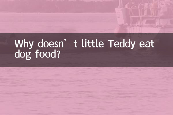 لماذا لا يأكل تيدي الصغير طعام الكلاب؟