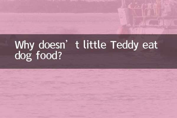 چھوٹا ٹیڈی کتے کا کھانا کیوں نہیں کھاتا ہے؟