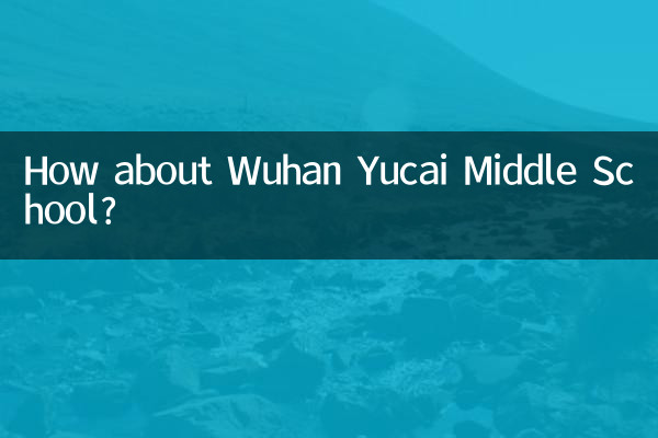 Как насчет средней школы Юцай в Ухане?