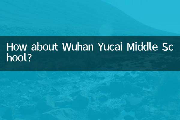 वुहान युकाई मिडिल स्कूल के बारे में क्या ख्याल है?