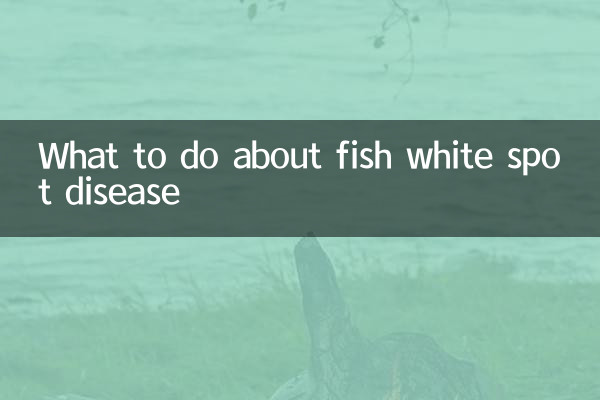 با بیماری لکه سفید ماهی چه کنیم؟