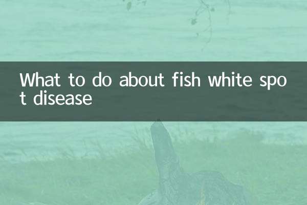 생선 흰반점병 어떻게 해야 할까요?