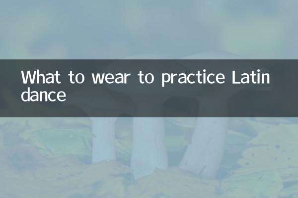 라틴댄스를 연습할 때 입는 옷