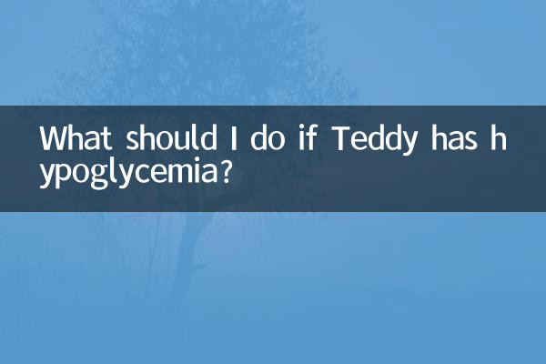 What should I do if Teddy has hypoglycemia?