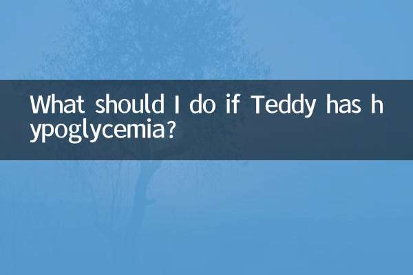 O que devo fazer se Teddy tiver hipoglicemia?