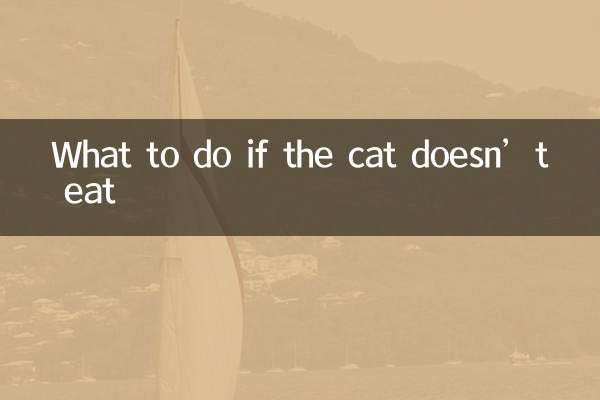 اگر گربه غذا نخورد چه باید کرد