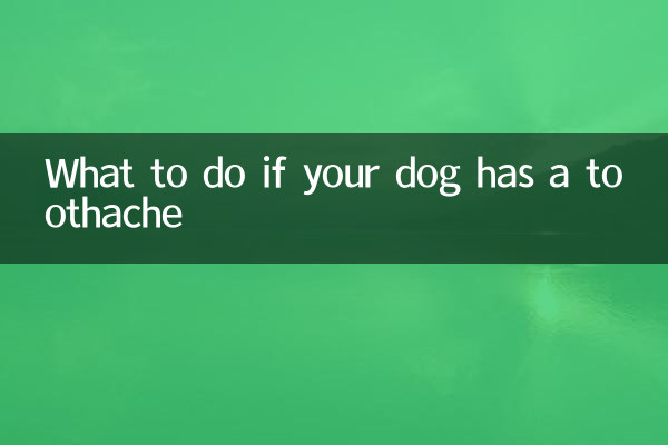 আপনার কুকুরের দাঁতে ব্যথা হলে কী করবেন