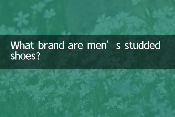 Di che marca sono le scarpe borchiate da uomo?