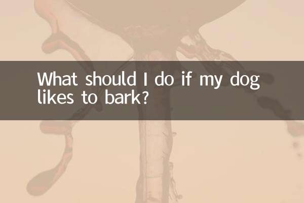 What should I do if my dog likes to bark?