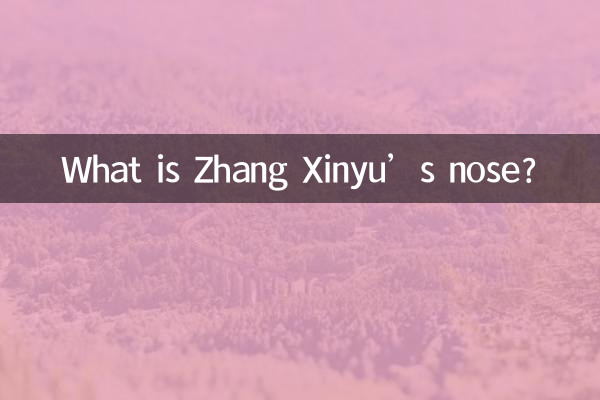 Qual è il naso di Zhang Xinyu?