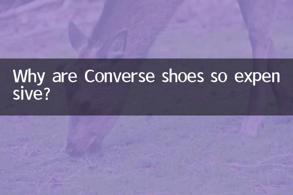 কনভার্স জুতা এত দামি কেন?