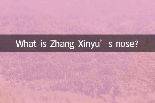 What is Zhang Xinyu’s nose?