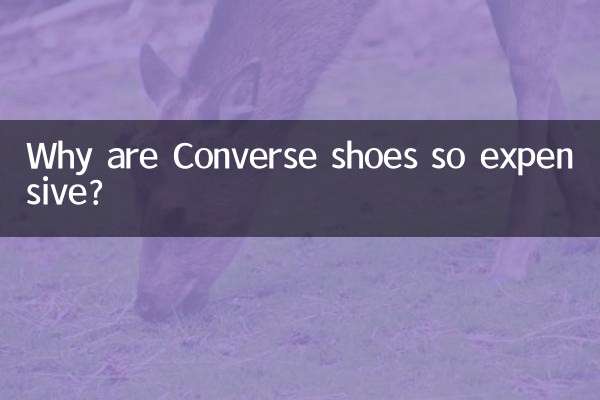কনভার্স জুতা এত দামি কেন?