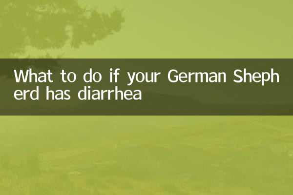德國牧羊犬拉稀怎麼辦