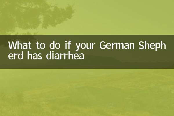 德國牧羊犬拉稀怎麼辦