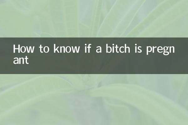 怎么知道母狗怀孕