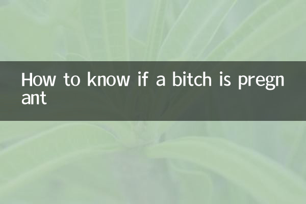 كيف تعرف إذا كانت العاهرة حامل