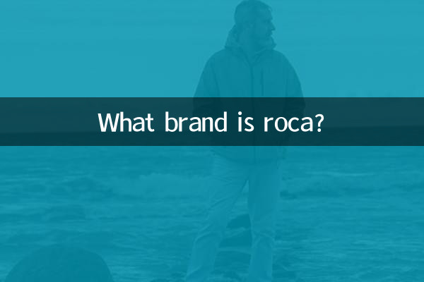 로카는 어떤 브랜드인가요?