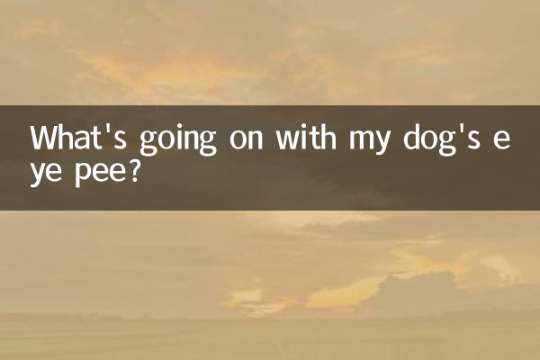 Что происходит с мочой из глаз моей собаки?