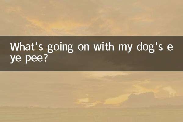 狗狗有点眼屎怎么回事