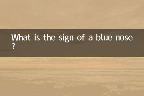 파란 코의 징후는 무엇입니까?