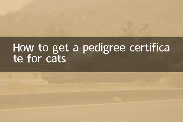 猫の血統証明書の取得方法