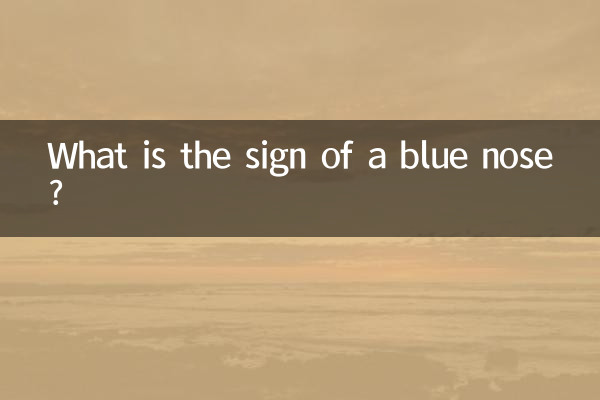 파란 코의 징후는 무엇입니까?