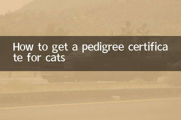 猫の血統証明書の取得方法