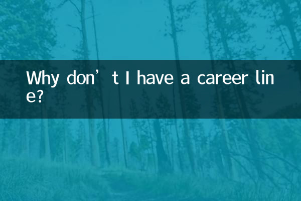 لماذا ليس لدي خط وظيفي؟