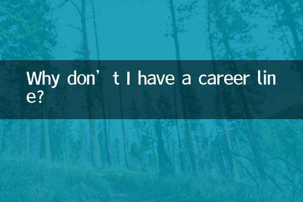 لماذا ليس لدي خط وظيفي؟