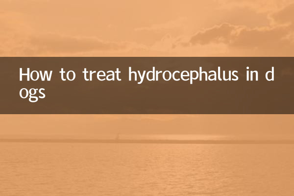 نحوه درمان هیدروسفالی در سگ