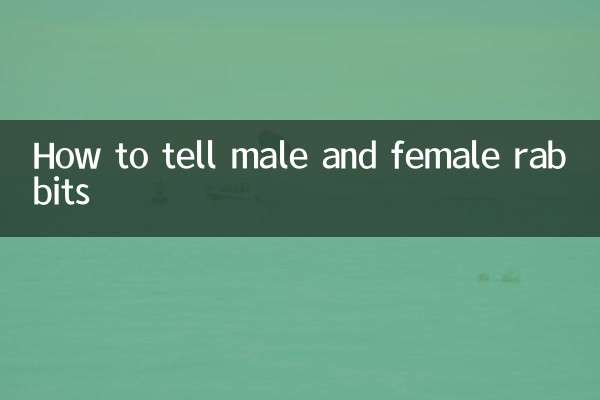 How to tell male and female rabbits